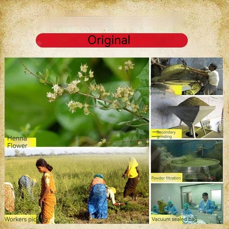 مسحوق الحناء النباتي النقي الط - مراجعة Indigo Dye Kit وسعره